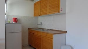 One-Bedroom Apartment with Terrace room in Apartments with a parking space Vir - 17069