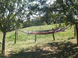 B&B / Chambres d'hotes Fenetre sur Loire : photos des chambres