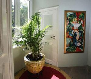 Pension am Großen Garten KG