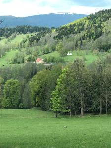 Pension Chata Junior Star&eacute; Město Czech Republic