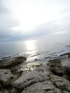 APP EMONA - Bašanija