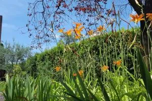 Mila Vila - Charming apartment near the sea - Jagodje