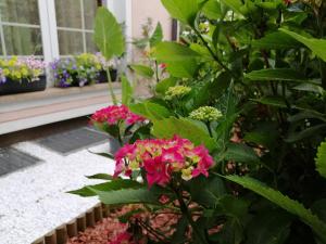 Penzion Zeleni Kakadu 