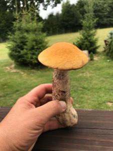 Agroturystyka FIFI