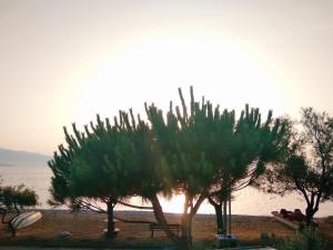 Seaside House Achaia Greece