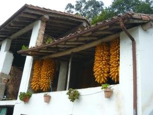 Bielva Céntrico con Vistas