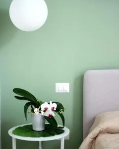 Palazzo Iato - 诺伊卡塔罗