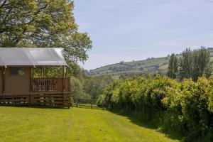 Oak Tent room in Valleyside Escapes