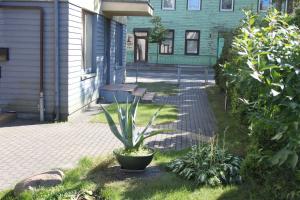 Lino butas Palangos centre