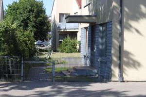 Lino butas Palangos centre