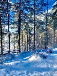 Hotelli Mesku Forssa