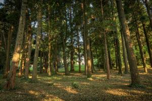 Maisons de vacances Le Clos d'Abrigeon : photos des chambres