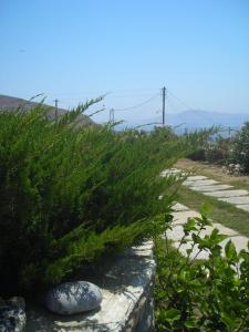 Anemologio Tinos Greece