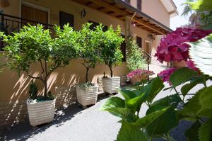 Appartement - Vue sur Jardin