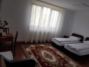 Fabrik Haus - Săcueni