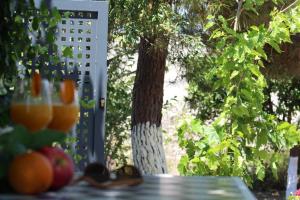 ORANGE GARDEN Achaia Greece