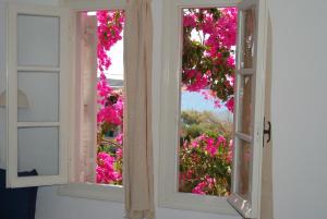 Kelly's Paros Greece