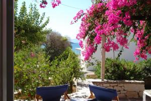 Kelly's Paros Greece