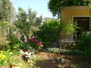 Lefkas house with garden Lefkada Greece