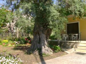 Lefkas house with garden Lefkada Greece