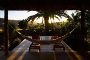 Finca Arbequina - La Pared