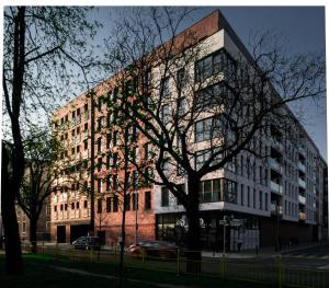 Comfort Studio Nova2