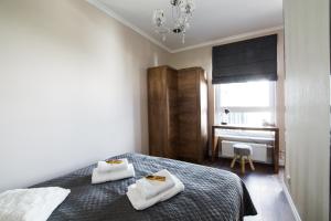 Comfort Studio Nova2