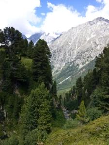 Ferienwohnung 6 Bergblick