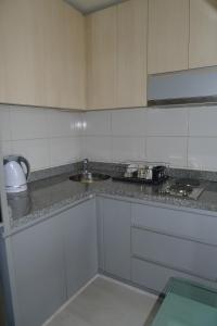 Chilean Suites and Apartment