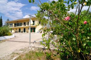 anastasios paleokastritsa studios