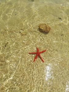 Appartamento Joanna img46