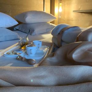 KOZA U WOZA - drewniany dom premium z widokiem na Tatry ecoSPA strefa fitness ZIELONA FARMA healinggarden - slowTRAVEL