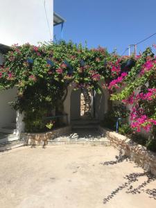 Studios Panorama Drios Paros Greece