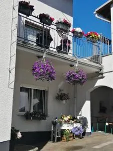 Ferienwohnung-Kiefer - Hillscheid