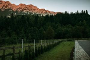 Gold House Plaiul Foii