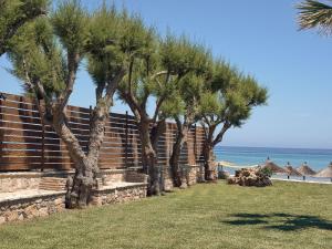 Plaka Beach Resort Zakynthos Greece