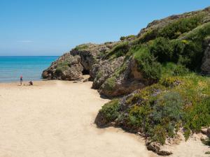Plaka Beach Resort Zakynthos Greece