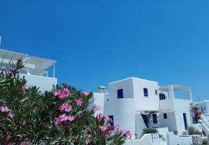 Nicos Studios & Apartments Paros Greece