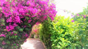 Hotel Les Jardins de Bormes photo 24
