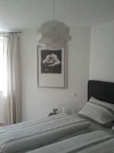 Zwischen Weinstrasse und Pfälzer Wald