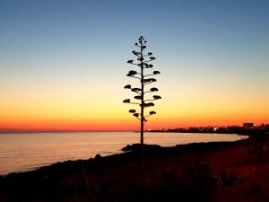 Lu Salentu White House