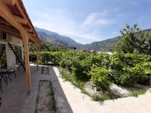 Studio Apartment with Sea View room in Apartments Dakovic