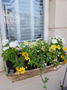 The Collingwood Guest House