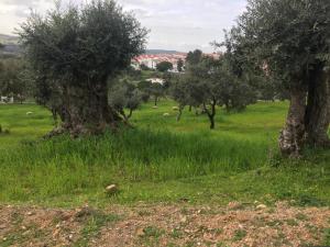 Holiday home Monte das Azinheiras