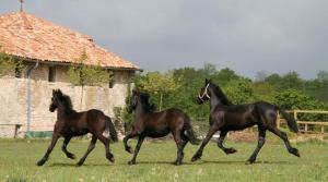 Tentes de luxe Domaine St Christophe : photos des chambres