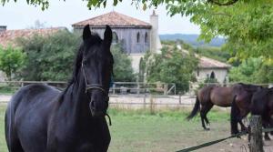 Tentes de luxe Domaine St Christophe : photos des chambres