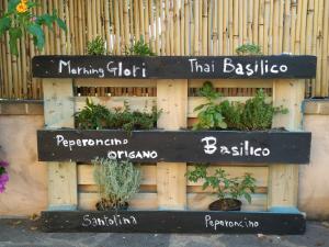 Nora Guesthouse Rooms and Villas img9