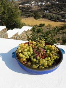 Cycladic Vineyard House