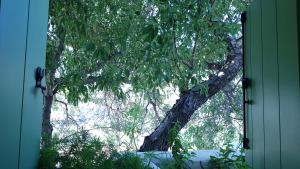 Cycladic Vineyard House Sifnos Greece