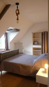 Maisons de vacances Gite la Ville Brunet : photos des chambres